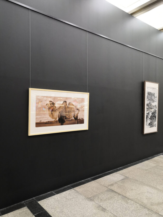 Artiteq Click Rail – Inspiratie galleries & musea Artiteq Click Rail - Inspiratie galleries & musea