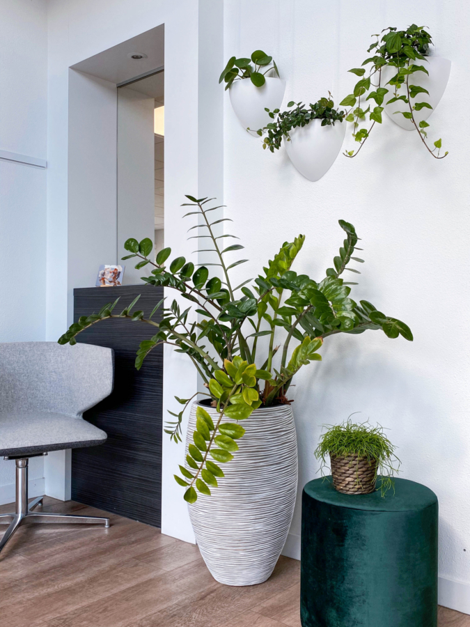 Artiteq Click Rail & Botaniq – Inspiratie woonkamer Artiteq Click Rail & Botaniq - Inspiratie woonkamer